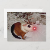 Rudolph de rode neus cavia feestdagenkaart (Voorkant / Achterkant)