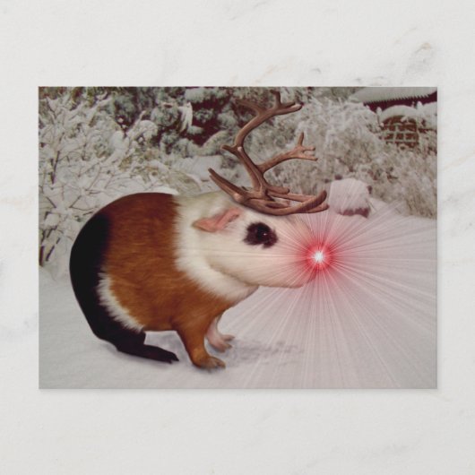 Rudolph de rode neus cavia feestdagenkaart (Voorkant)