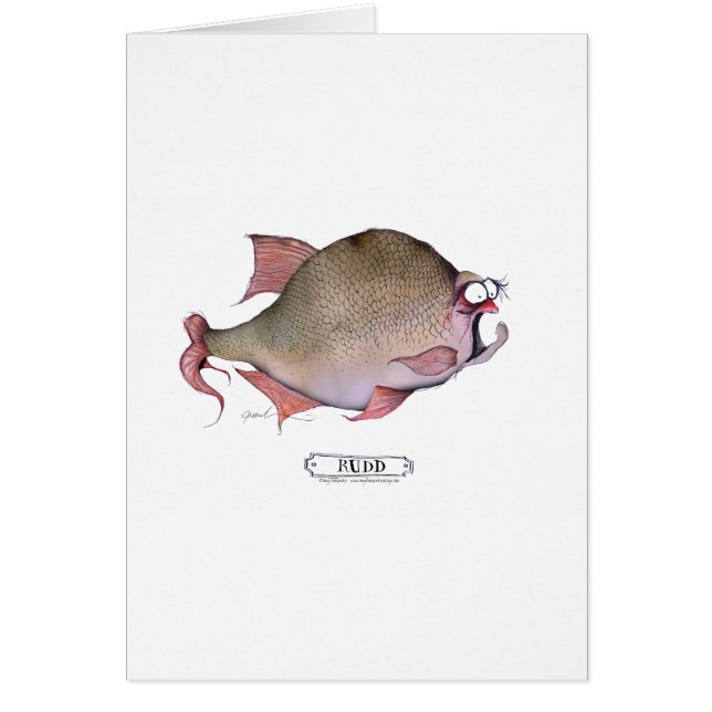 Rudvis, tongfernandes (Voorkant)