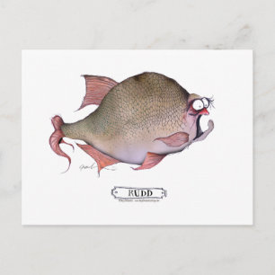 Rudvis, tongfernandes briefkaart