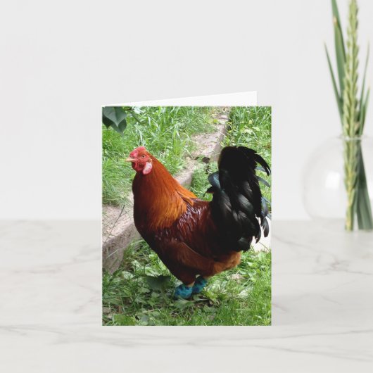 Rudy Kaart (Voorkant)