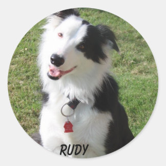 RUDY RONDE STICKER