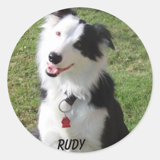 RUDY RONDE STICKER (Voorkant)