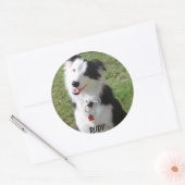 RUDY RONDE STICKER (Envelop)