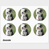 RUDY RONDE STICKER (Vel)