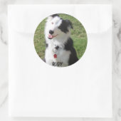 RUDY RONDE STICKER (Tas)