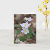 Rue Anemone Notecard Kaart (Gele Bloem)