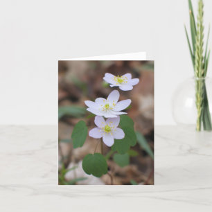 Rue Anemone Notecard Kaart