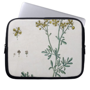 Rue, bord 7 van 'A Curious Herbal', gepubliceerd i Laptop Sleeve