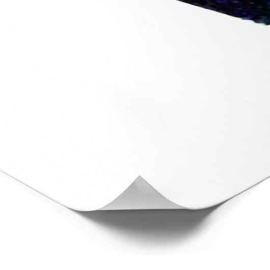 Rue des Orphelins, Straatsburg (Frankrijk) Poster (Hoek)