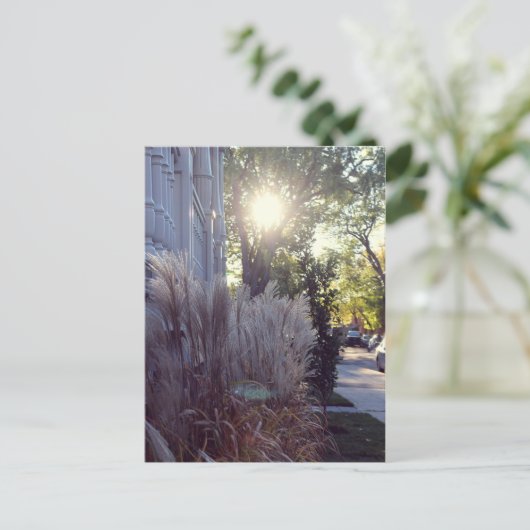 Rue Théodore Briefkaart (Staand voorkant)