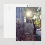 Rue Théodore Briefkaart (Voorkant / Achterkant)