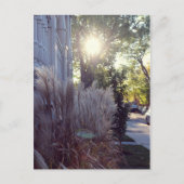 Rue Théodore Briefkaart (Voorkant)