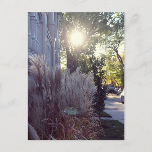 Rue Théodore Briefkaart (Voorkant)