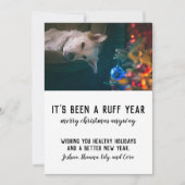 Ruff 2020 kerstmis feestdagenkaart (Voorkant)