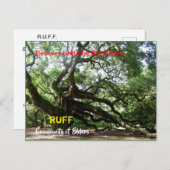 RUFF-organisatiekaart Briefkaart (Voorkant / Achterkant)