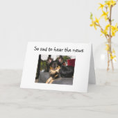 RUFF WORDT 40! VERJAARDAG KAART (Gele Bloem)