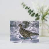 Ruffe kruid in sneeuwige bossen briefkaart (Staand voorkant)