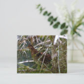 Ruffed Grouse 02 Briefkaart (Staand voorkant)