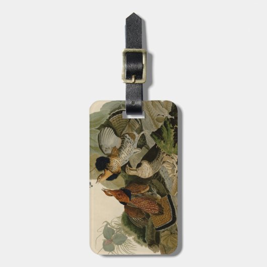 Ruffed Grouse Audubon Game Bird Bagagelabel (Voorkant verticaal)