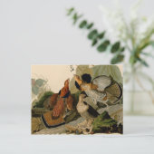 Ruffed Grouse Audubon Game Bird Briefkaart (Staand voorkant)