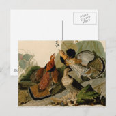 Ruffed Grouse Audubon Game Bird Briefkaart (Voorkant / Achterkant)