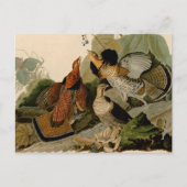 Ruffed Grouse Audubon Game Bird Briefkaart (Voorkant)