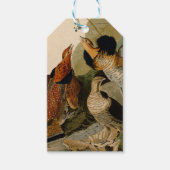 Ruffed Grouse Audubon Game Bird Cadeaulabel (Voorkant)