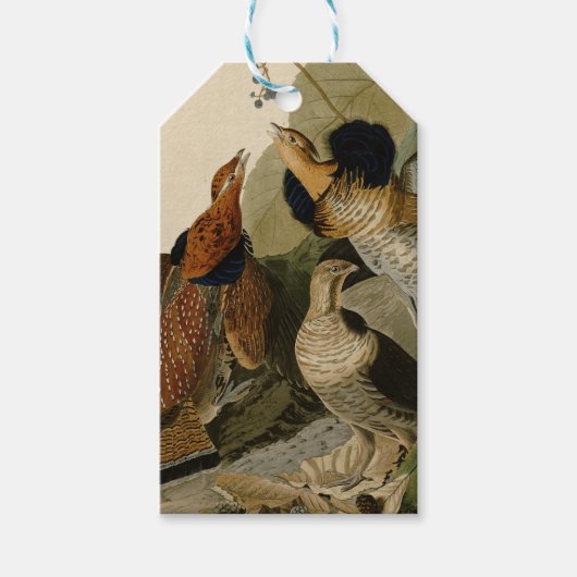 Ruffed Grouse Audubon Game Bird Cadeaulabel (Voorkant)