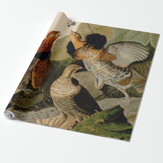 Ruffed Grouse Audubon Game Bird Cadeaupapier (Uitgerold)