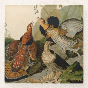 Ruffed Grouse Audubon Game Bird Glazen Onderzetter