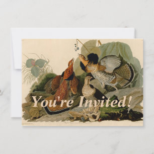 Ruffed Grouse Audubon Game Bird Kaart