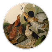 Ruffed Grouse Audubon Game Bird Keramische Knop (Voorkant)
