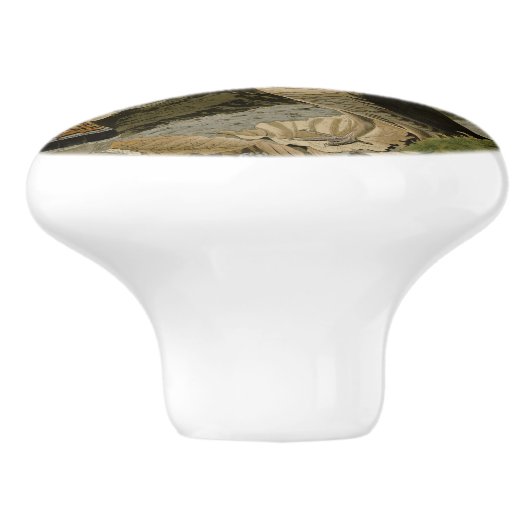 Ruffed Grouse Audubon Game Bird Keramische Knop (Zijkant)