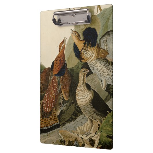 Ruffed Grouse Audubon Game Bird Klembord (Links)