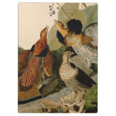 Ruffed Grouse Audubon Game Bird Klembord (Achterkant)