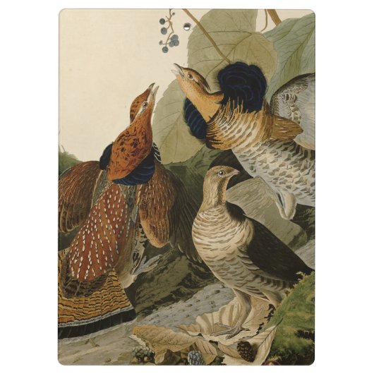 Ruffed Grouse Audubon Game Bird Klembord (Achterkant)