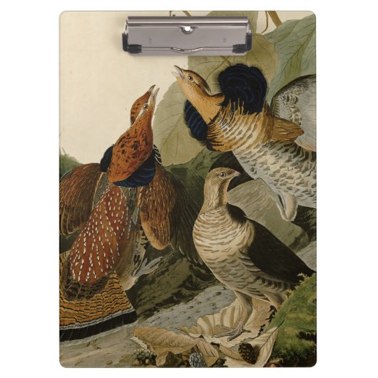 Ruffed Grouse Audubon Game Bird Klembord (Voorkant)