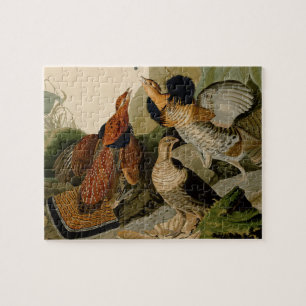Ruffed Grouse Audubon Game Bird Legpuzzel