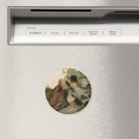 Ruffed Grouse Audubon Game Bird Magneet (Insitu (Vaatwasser))