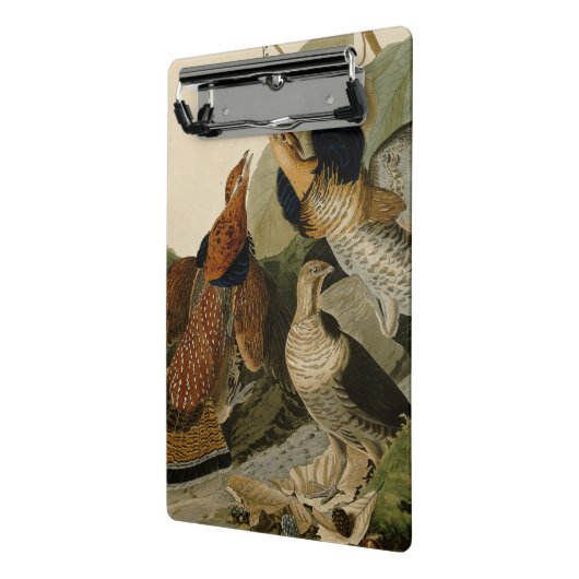 Ruffed Grouse Audubon Game Bird Mini Klembord (Angled2)