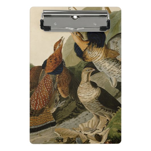 Ruffed Grouse Audubon Game Bird Mini Klembord (Voorkant)