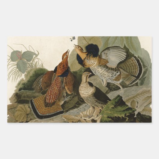 Ruffed Grouse Audubon Game Bird Rechthoekige Sticker (Voorkant)