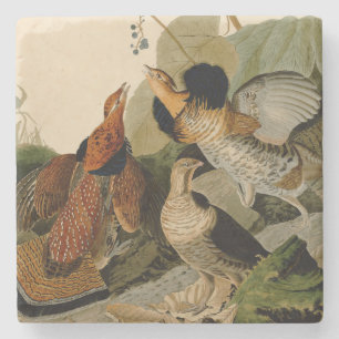 Ruffed Grouse Audubon Game Bird Stenen Onderzetter