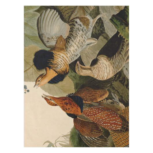 Ruffed Grouse Audubon Game Bird Tafelkleed (Voorkant)