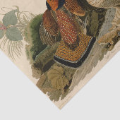 Ruffed Grouse Audubon Game Bird Tissuepapier (Detail)