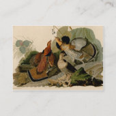 Ruffed Grouse Audubon Game Bird Visitekaartje (Achterkant)