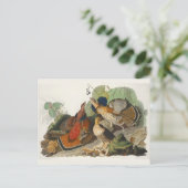 Ruffed Grouse Audubon Wildlife Painting Briefkaart (Staand voorkant)