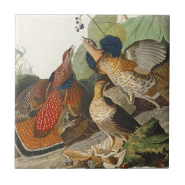 Ruffed Grouse Audubon Wildlife Painting Tegeltje