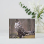 Ruffed Grouse Briefkaart (Staand voorkant)
